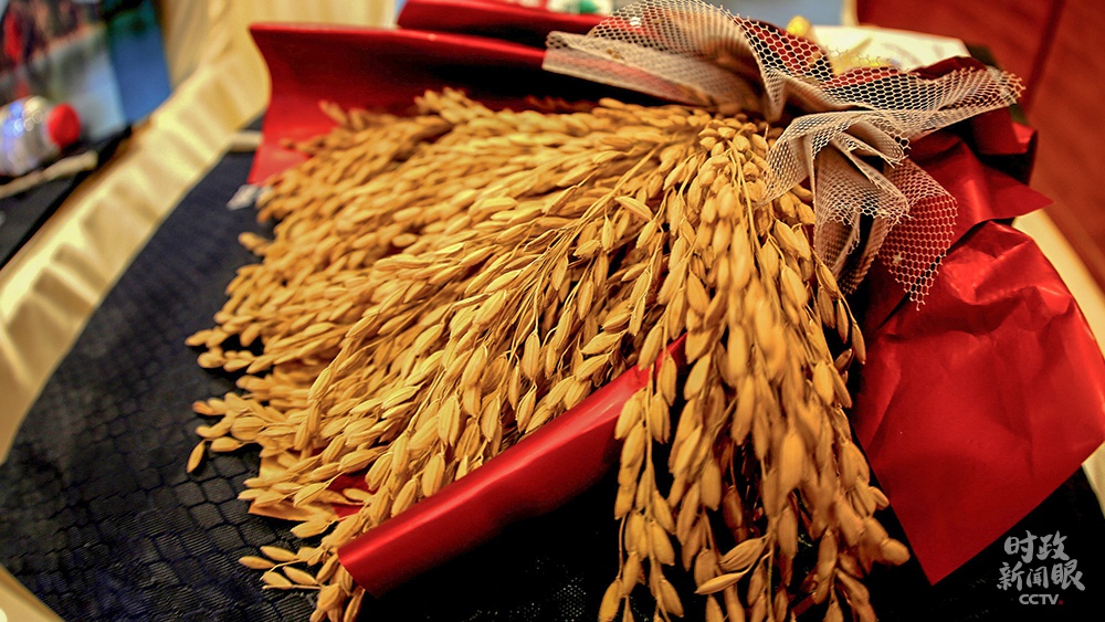 △11月10日，“延寿大米”地理标志证明商标正式启用，这标志着黑龙江延寿县出产的大米有了专属“身份证”。